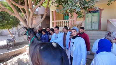 فحص ١١٣٠ حالة فى قوافل جامعة سوهاج البيطرية بقريتي الرويهيب وبلصفورة