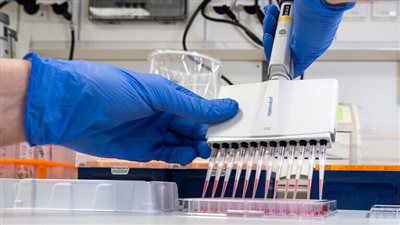 قدمنا فرصة أخيرة نحافظ علي اللي بنحبهم وحالنا مايقفش ونقضي علي الكورونا 