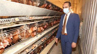 نائب محافظ سوهاج يتفقد أعمال التطهير بأخميم وحي الكوثر