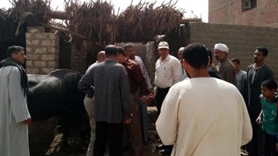 مجلس مدينة أخميم يشن حملات لمواجهة تلوث البيئة