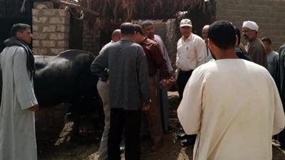 مجلس مدينة أخميم يواصل حملاته حفاظا على البيئة والصحة العامة