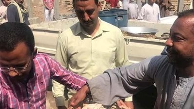 ضبط لحوم غير صالحة للاستهلاك الأدمـــي بمركز البلينا