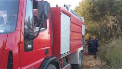 حريق هائل بمزرعة لتربية الدواجن بسوهاج..إصابة عامل ونفوق 2000 كتكوت