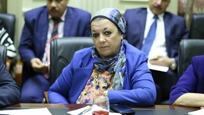 ماجدة نصر: الفصول الافتراضية ستجعل الطلاب يعتمدون علي أنفسهم