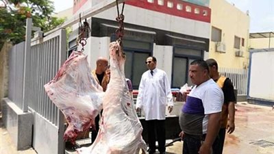 بالصور.. رئيس جامعة دمنهور يذبح عجلين قبل بيعهما للمواطنين