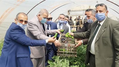 بالصور.. وكيل تعليم دمياط يشهد بدء حصاد أول صوبة زراعية بالتعليم الفني بدمياط