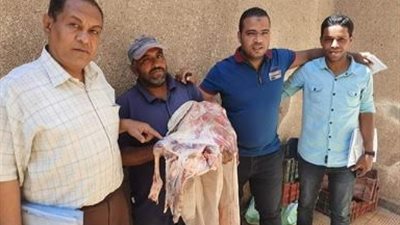 ضبط لحوم مختومة بأختام مزورة فى رمضان بسوهاج