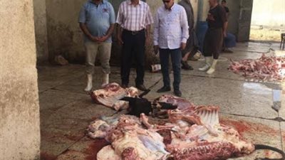 إعدام عجول غير صالحة للاستهلاك الآدمي .. وتحرير 188 محضربسوهاج
