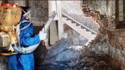 انتشار اعداد كبيرة من الخفافيش فى المنازل المهجورة بمدينة طهطا