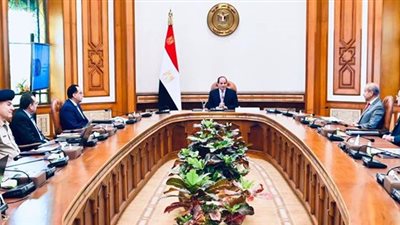 عاجل| السيسي يصدر توجيهات هامة للحكومة