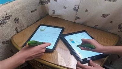 طلاب الصف الثانى الثانوى يكتبون على التابلت اثناء الامتحان بالجزر والفلفل والخيار.. اختبار سلطة خضراء.. صور 