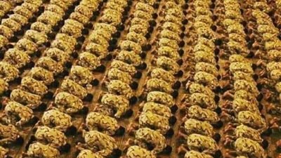 ده الجيش الوحيد الموجود في مصر