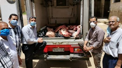 ضبط 350 كجم لحوم غير صالحة للاستهلاك الآدمي وإعدامها بسوهاج