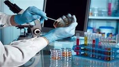 الصين تعلن عن اكتشاف فيروس جديد يهدد العالم بكارثة 