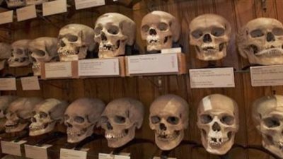 هام.. الجزائر تستقبل رفات 24 من شهداء المقاومة الشعبية ضد الاحتلال الفرنسى 