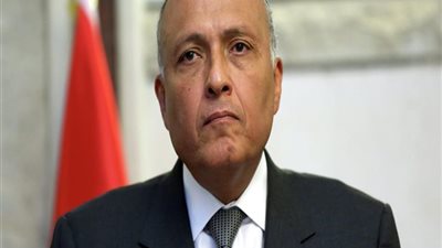 وزير الخارجية: اثيوبيا تراوغ مصر بشأن حقيقة انظمة امان سد النهضة