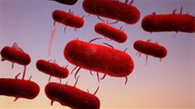 الصين تكشف عن ثالث فيروس فى 2020 