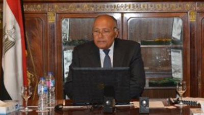  وزير الخارجية: مصر تعول على دعم الصين لمواقف الجامعة العربية بشأن سد النهضة 