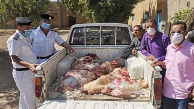 بالصور.. ضبط 300 كيلو جرام لحوم تحمل أختام مزورة في حملة للطب البيطري بجهينة