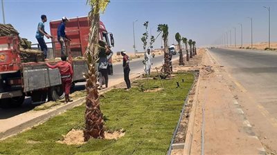 رئيس الجهاز: بدء تنفيذ مشروع رفع كفاءة وصيانة المسطحات الخضراء للمناطق السكنية بمساحة 93 فداناً بمدينة الشروق