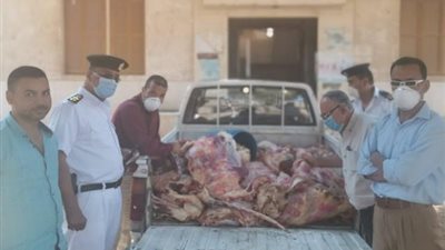 الطب البيطري يشن حملات مكبرة على محلات الجزارة بطهطا 