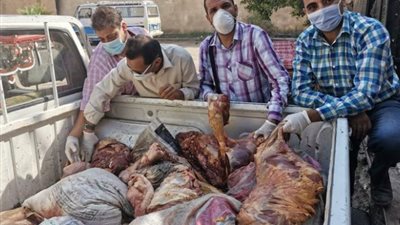 لحمة حمير ...ضبط نصف طن لحوم حمير قبل طرحها في الأسواق بأخميم