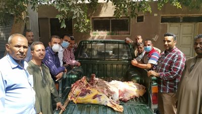 بالصور.. ضبط 130 كيلو لحوم غير صالحة بالمراغة