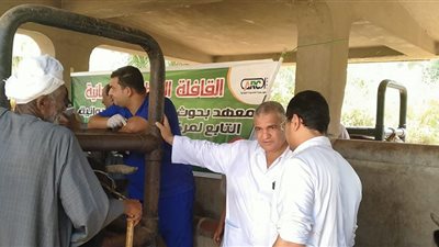 بالصور..  إدارة اهناسيا البيطريه تستقبل  قافله معهد تناسليات الهرم