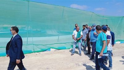 وزير الزراعة يقوم بجولة مفاجئة لبعض المشروعات الزراعية بالإسكندرية والبحيرة 