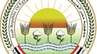 وزير الزراعة: صادرات مصر الزراعية تتجاوز الـ 4 مليون طن لأول مرة هذا العام 