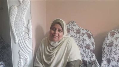 سيدة القطار.. والكمسرى والعسكرى 