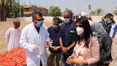 وزيرة التعاون الدولي: مشروع تجفيف الطماطم يُعزز التمكين الاقتصادي للسيدات في صعيد مصر (صور)  
