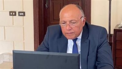 وزير الخارجية يبحث مع نظيرة الصربي عدد من القضايا الإقليمية