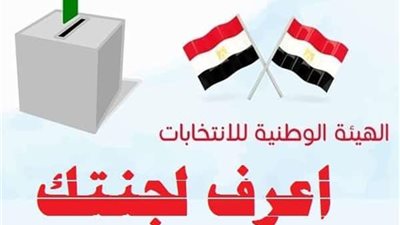 بالرقم القومى.. اعرف لجنتك الانتخابية لمجلس النواب