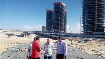 مساعد نائب رئيس 