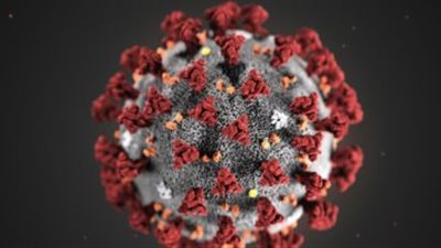 بالفيديو.. الصحه تعلن القواعد الذهبية الـ 10 للوقاية من 