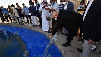 وزير الإسكان ومحافظ جنوب سيناء يتفقدان مشروع إنشاء المزرعة النموذجية بالطور