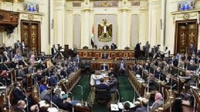 اول تعليق من ماجدة نصر بشأن قانون رواتب المعلمين