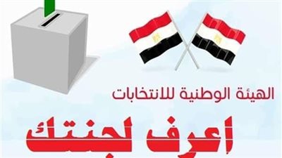 اعرف لجنتك الآن لانتخابات مجلس النواب.. من خلال هذا الرابط