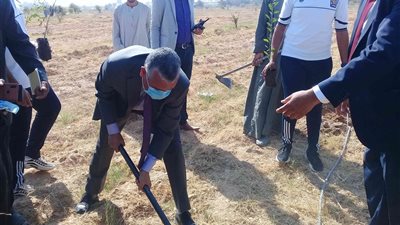   غرس 1200 شجرة مثمرة بجامعة جنوب الوادى