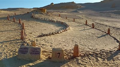 البيئة : إشادة عالمية بموقع وادى الحيتان والقائمين عليه