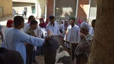 قافلة جامعة سوهاج البيطرية تفحص وتعالج ٧٤٥ حالة بقرية مشطا