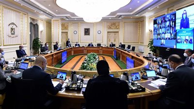 وزيرة الصحة تستعرض موقف مواجهة 