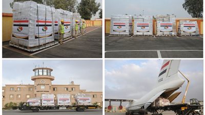 مصر ترسل مساعدات طبية وإنسانية لدولة مالى  