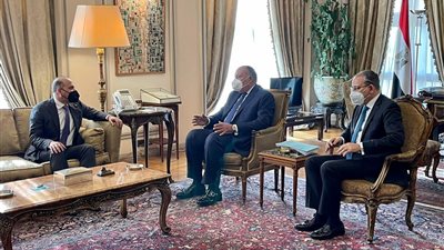 وزير الخارجية يستقبل رئيس تيار الغد السوري