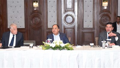 وزير المالية ومحافظ جنوب سيناء ورئيس الهيئة العامة للاستثمار يبحثون فرص وتحديات الاستثمار بالمحافظة