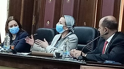 وزيره البيئة : لدينا تكليفات رئاسية بمواجهة تلوث الهواء فى القاهرة الكبرى