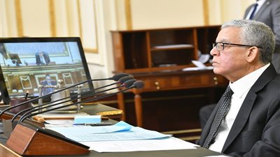 رئيس مجلس النواب يحيل بيان وزيرالتربية والتعليم إلي 