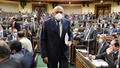 وزير الخارجية : لن تتهاون مع أى ضرر لمصالحها أو يمس مقدرات شعبها