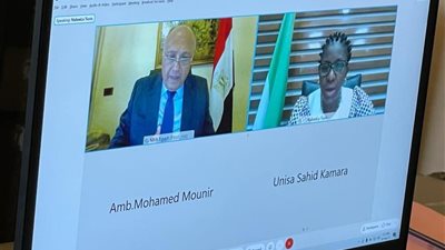 سامح شكري يبحث تعزيز التعاون الثنائي مع وزيرة الخارجية والتعاون الدولي السيراليونية